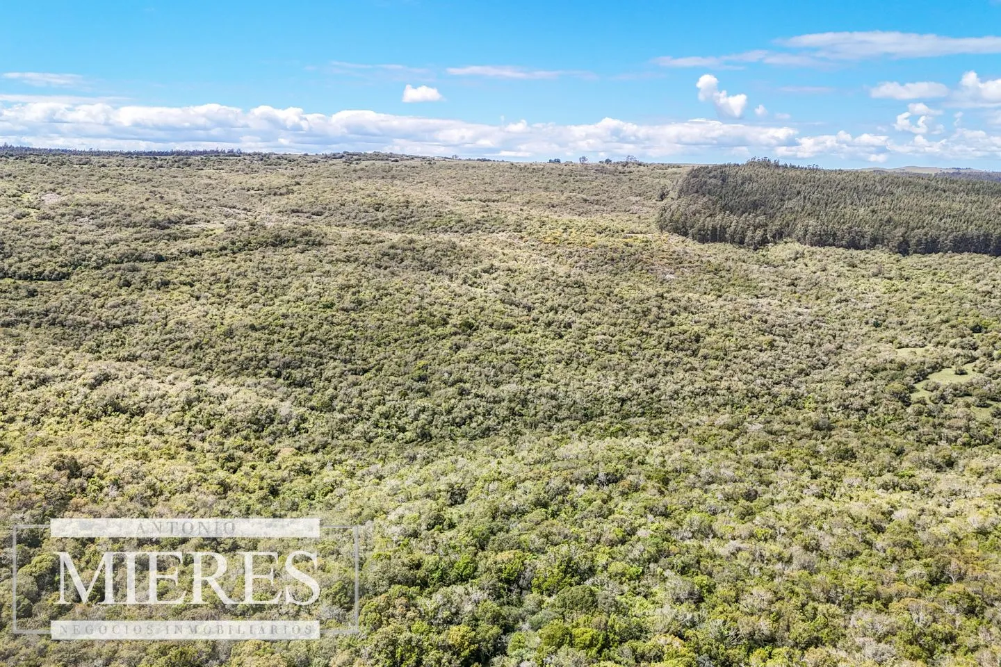 Campo en venta de 153 ha en Villa Serrana — foto 29