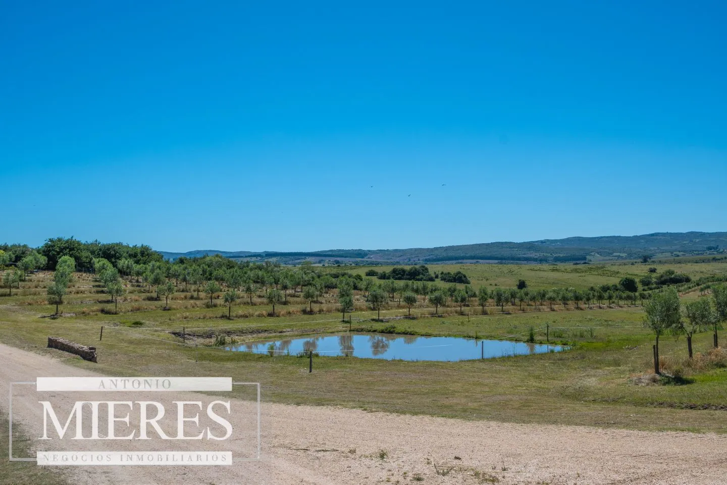 Chacra de 50ha con casa en Garzón Maldonado — foto 30