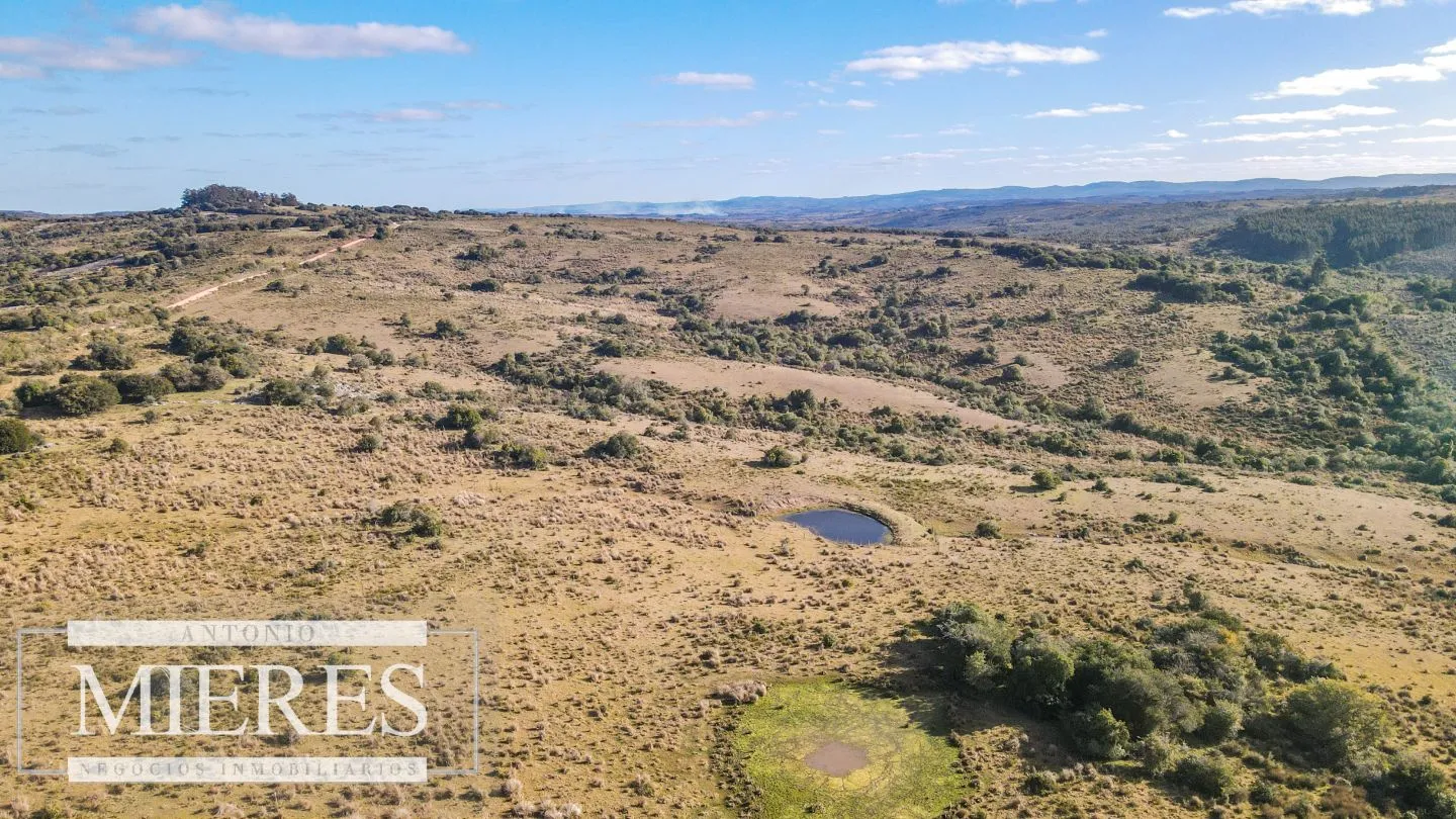 Campo de 270ha en Garzon Maldonado — foto 5