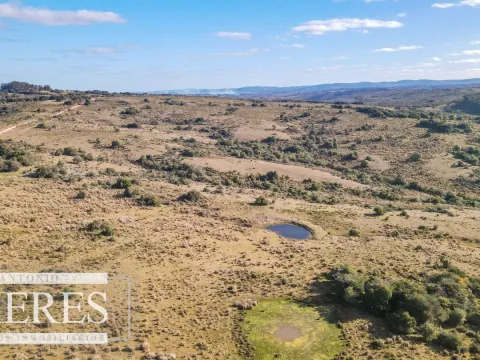 Campo de 270ha en Garzon Maldonado — foto 5
