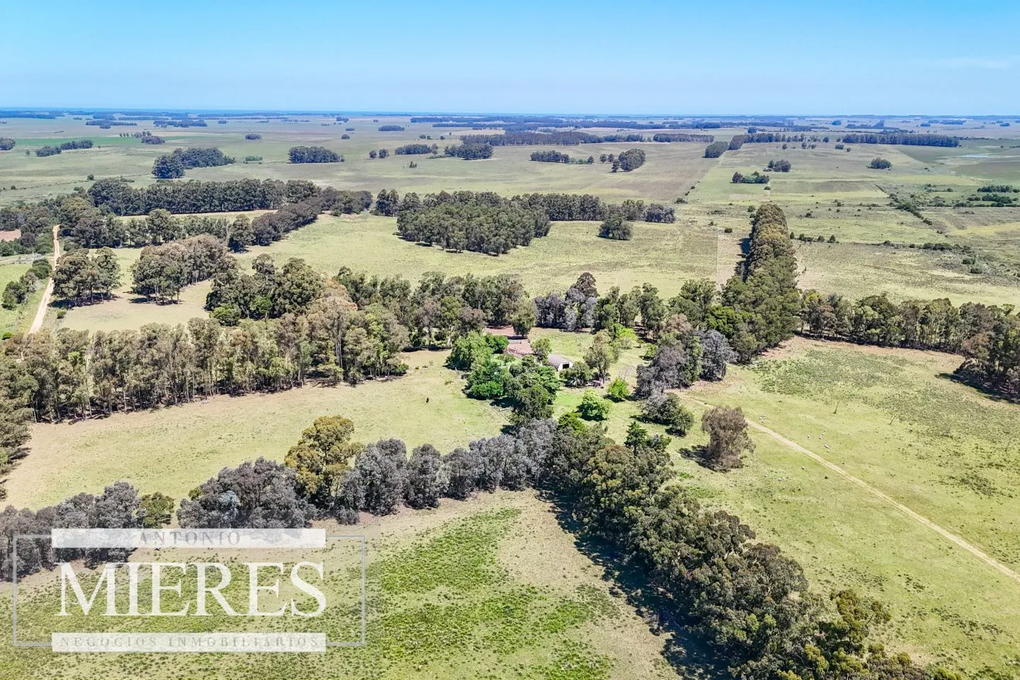 Campo en venta de 360 ha Las Garzas, Maldonado. — foto 2