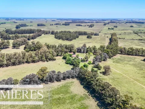 Campo en venta de 360 ha Las Garzas, Maldonado. — foto 2