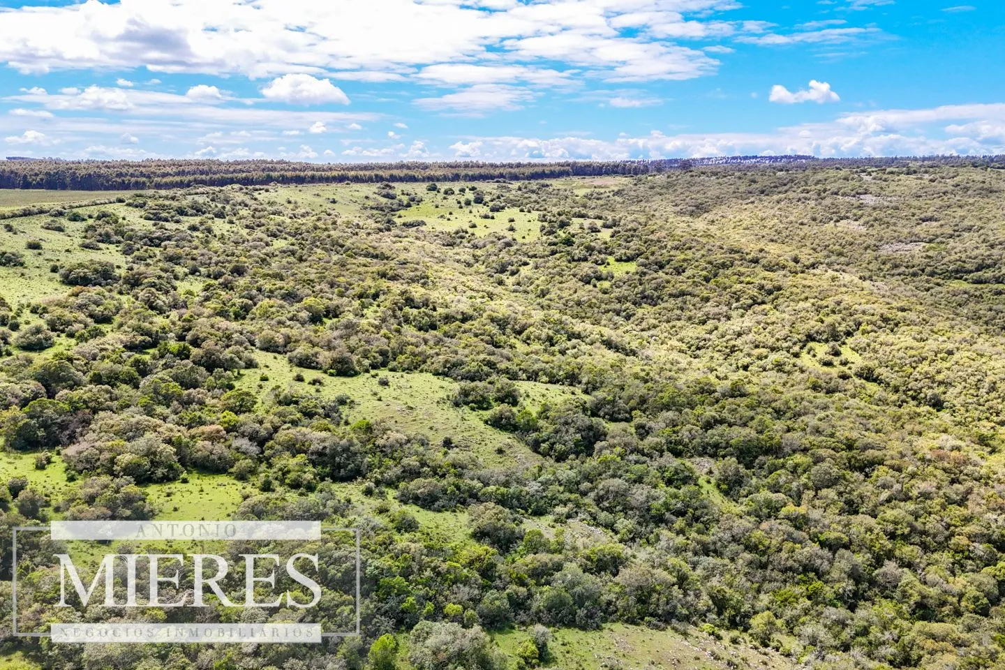 Campo en venta de 153 ha en Villa Serrana — foto 30