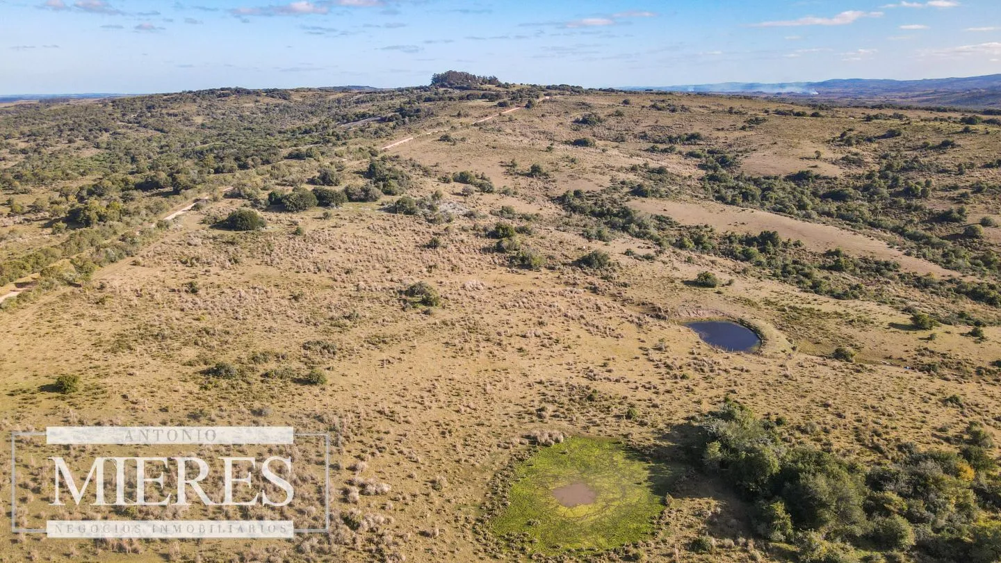 Campo de 270ha en Garzon Maldonado — foto 6