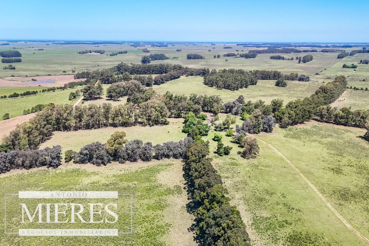 Campo en venta de 360 ha Las Garzas, Maldonado. — foto 3