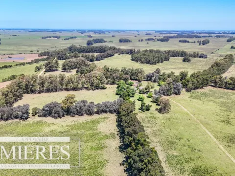 Campo en venta de 360 ha Las Garzas, Maldonado. — foto 3