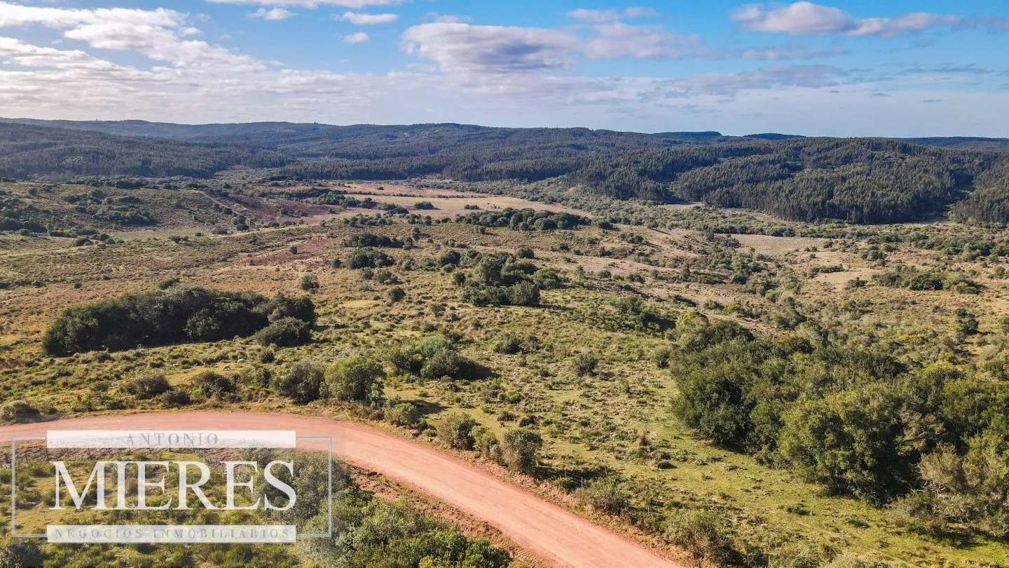 Campo de 270ha en Garzon Maldonado — foto 7