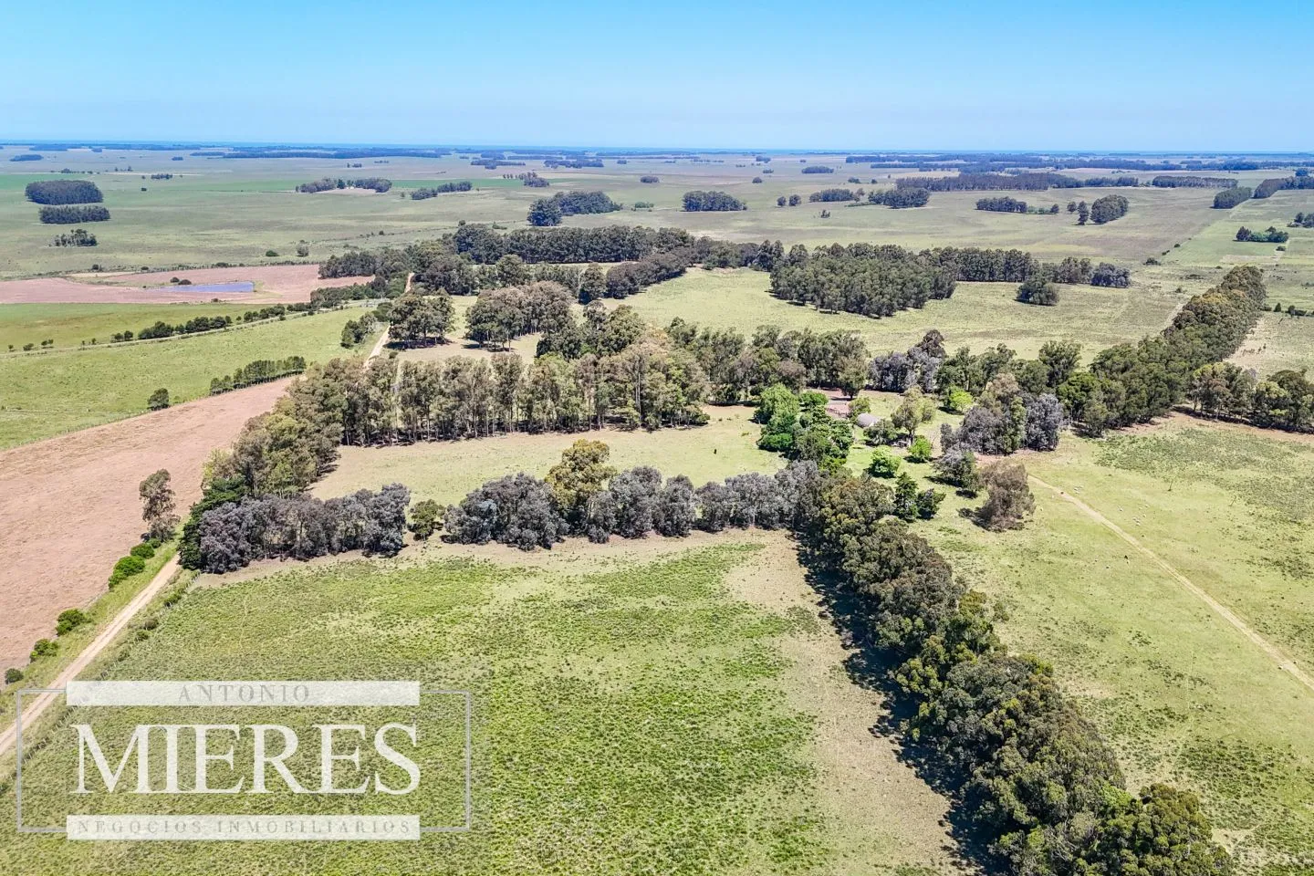 Campo en venta de 360 ha Las Garzas, Maldonado. — foto 4