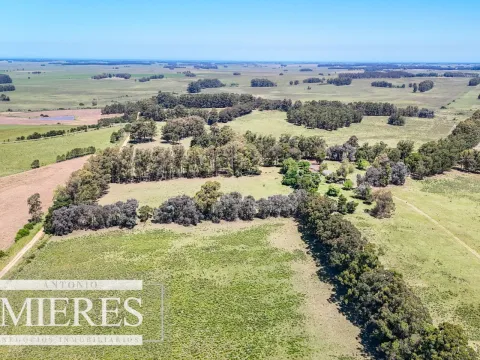 Campo en venta de 360 ha Las Garzas, Maldonado. — foto 4