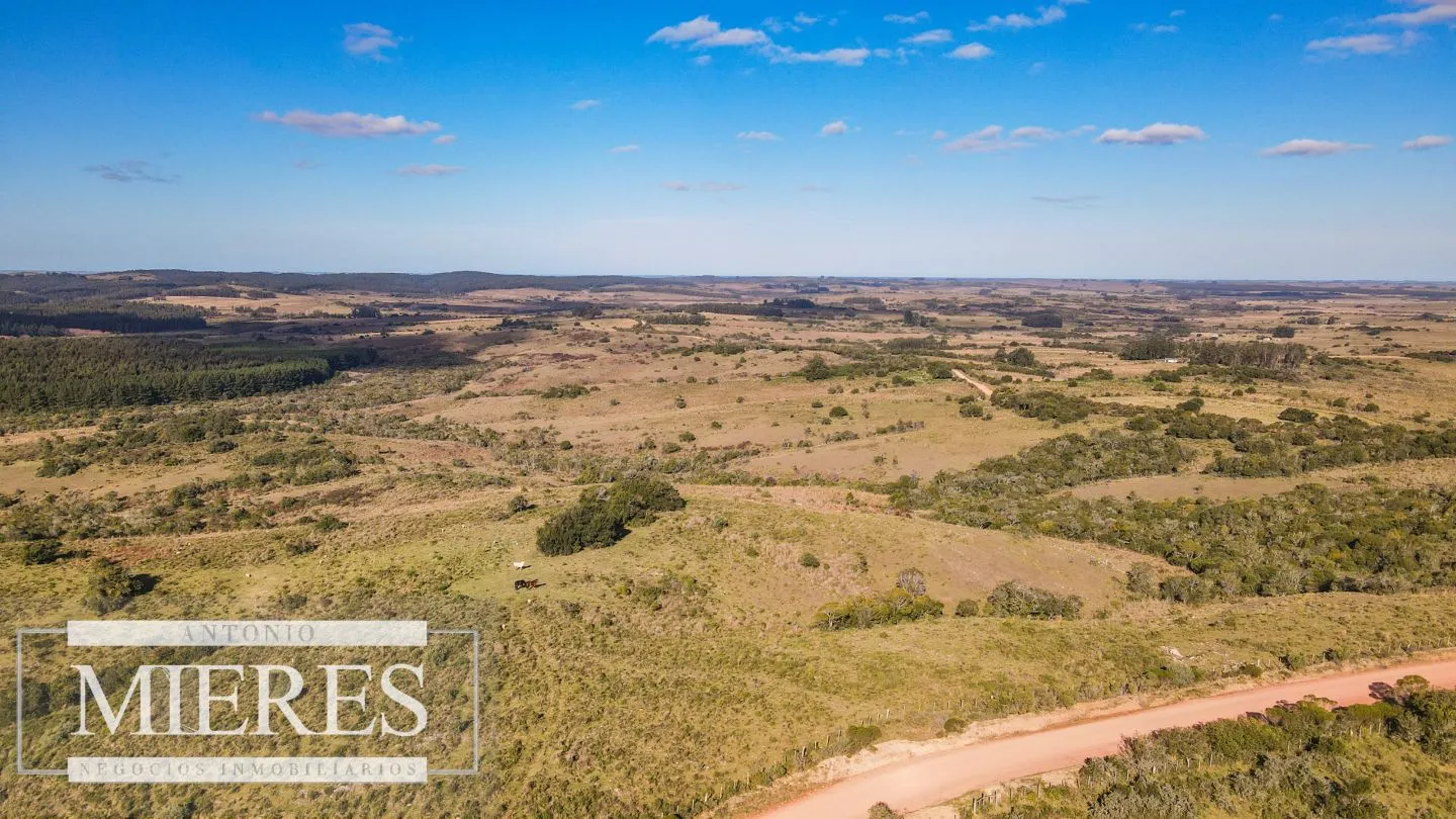 Campo de 270ha en Garzon Maldonado — foto 8