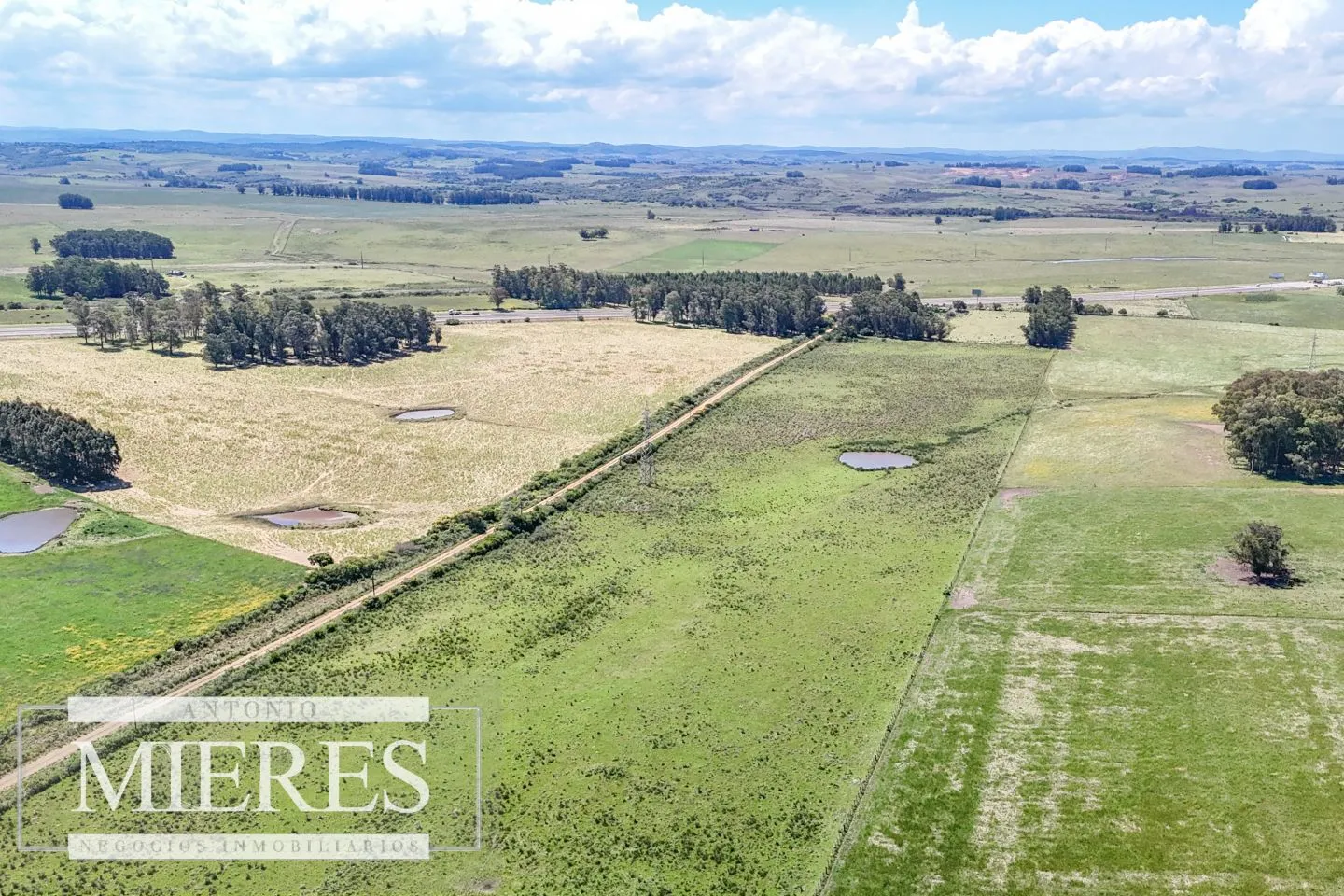 Campo en venta de 360 ha Las Garzas, Maldonado. — foto 5