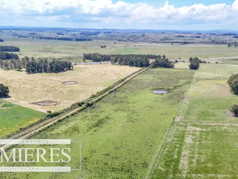 Campo en venta de 360 ha Las Garzas, Maldonado. — foto 5