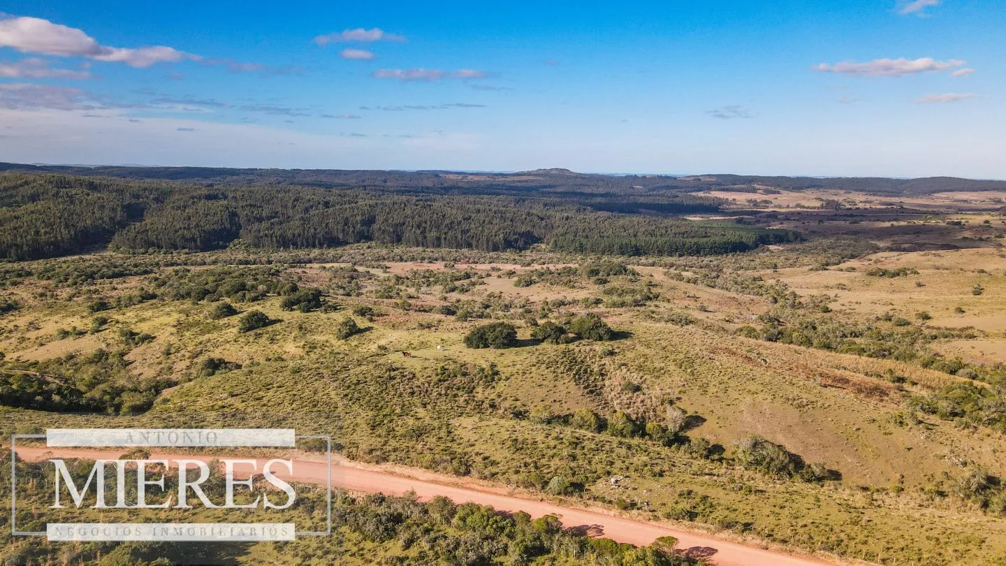 Campo de 270ha en Garzon Maldonado — foto 9