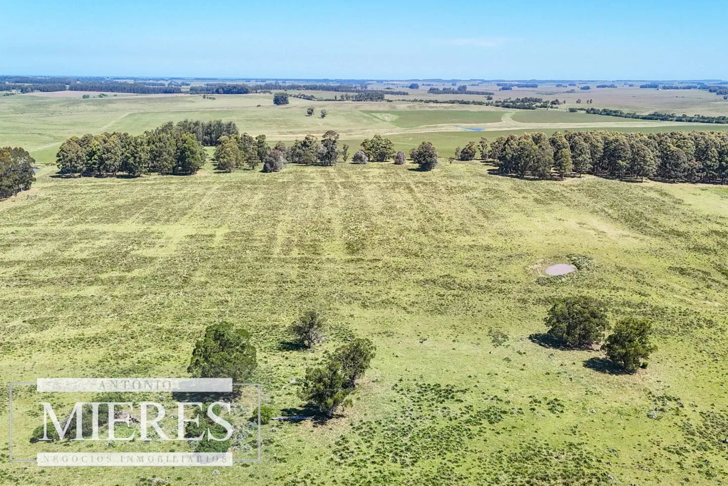 Campo en venta de 360 ha Las Garzas, Maldonado. — foto 6