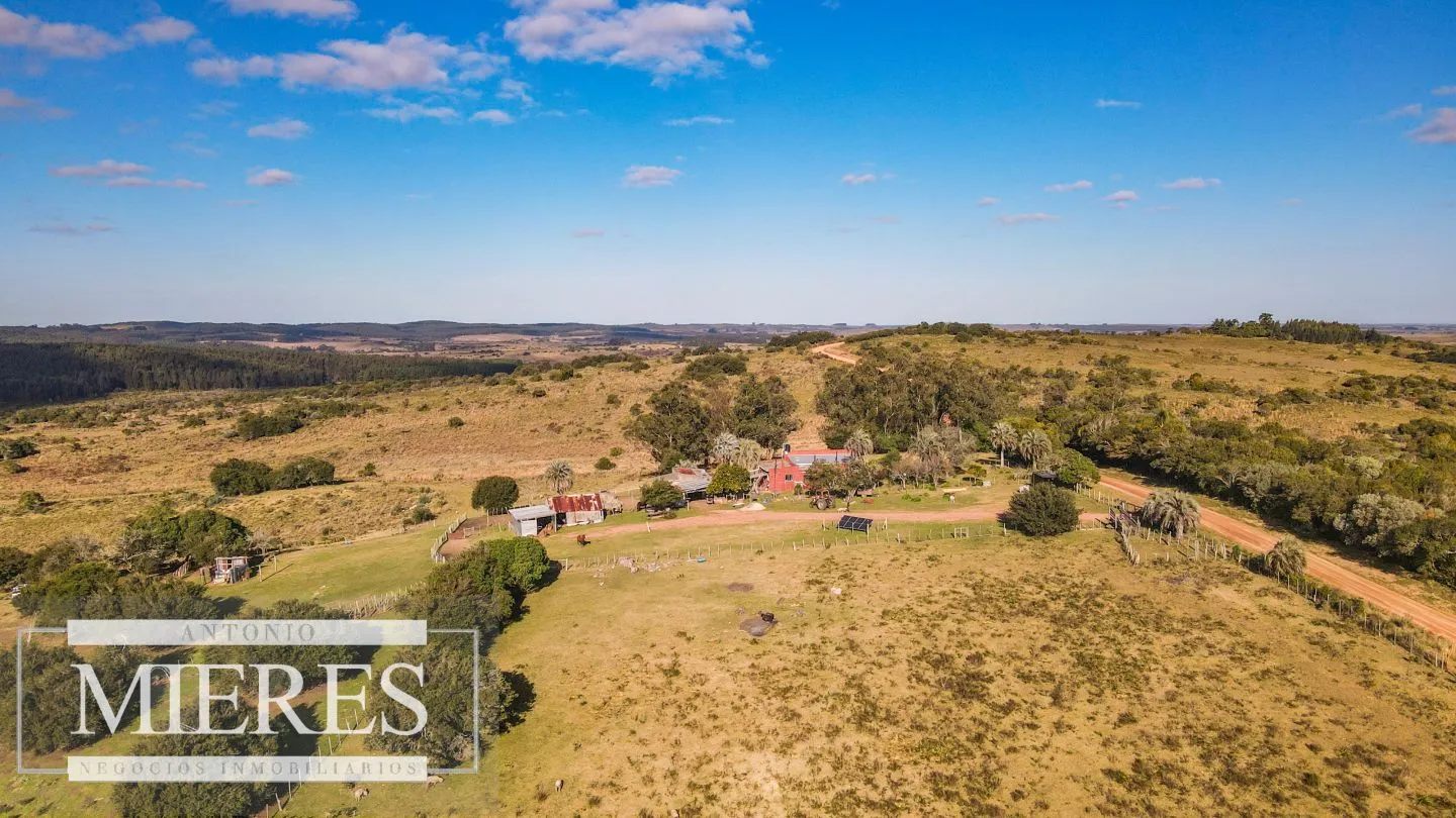 Campo de 270ha en Garzon Maldonado — foto 10