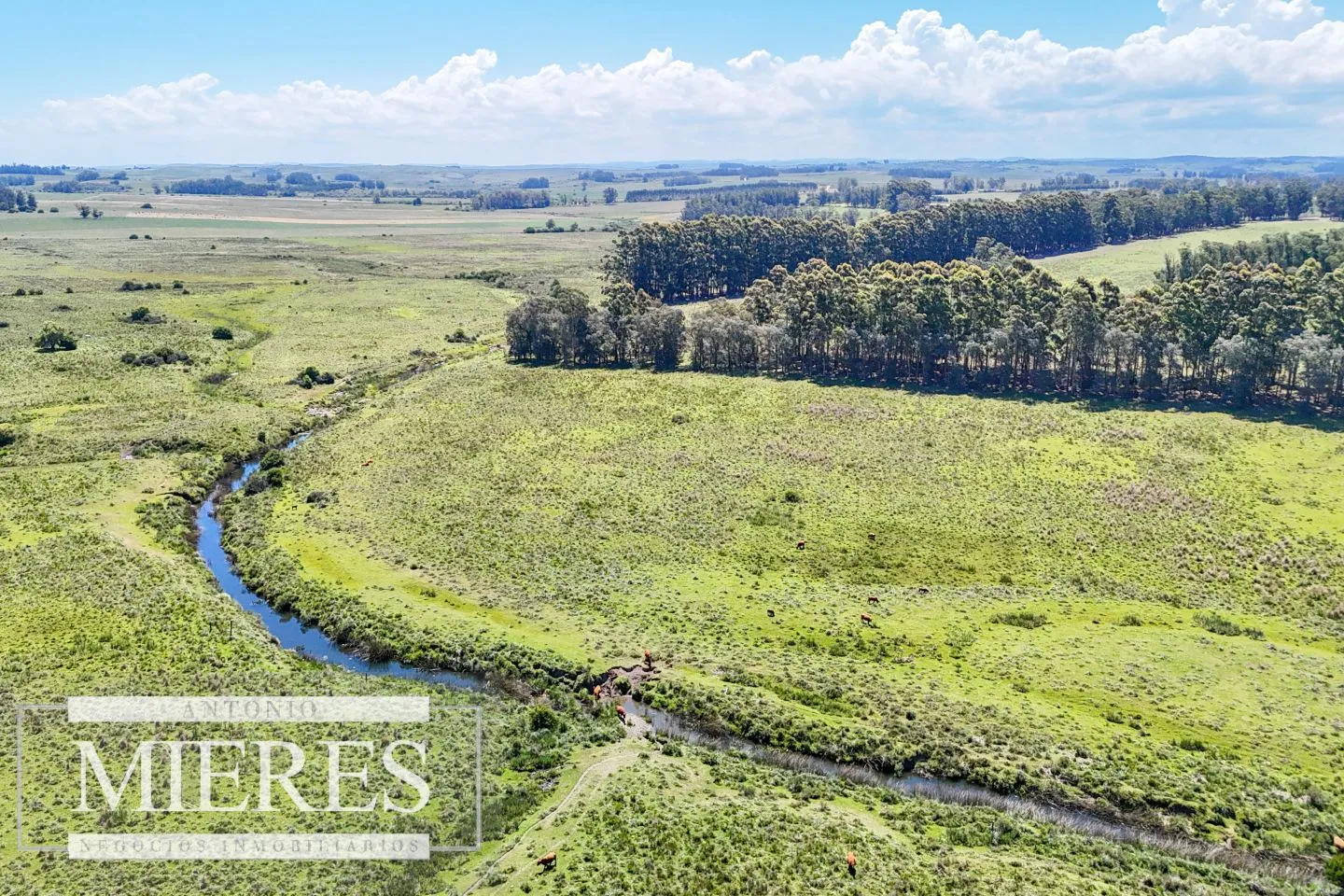 Campo en venta de 360 ha Las Garzas, Maldonado. — foto 7