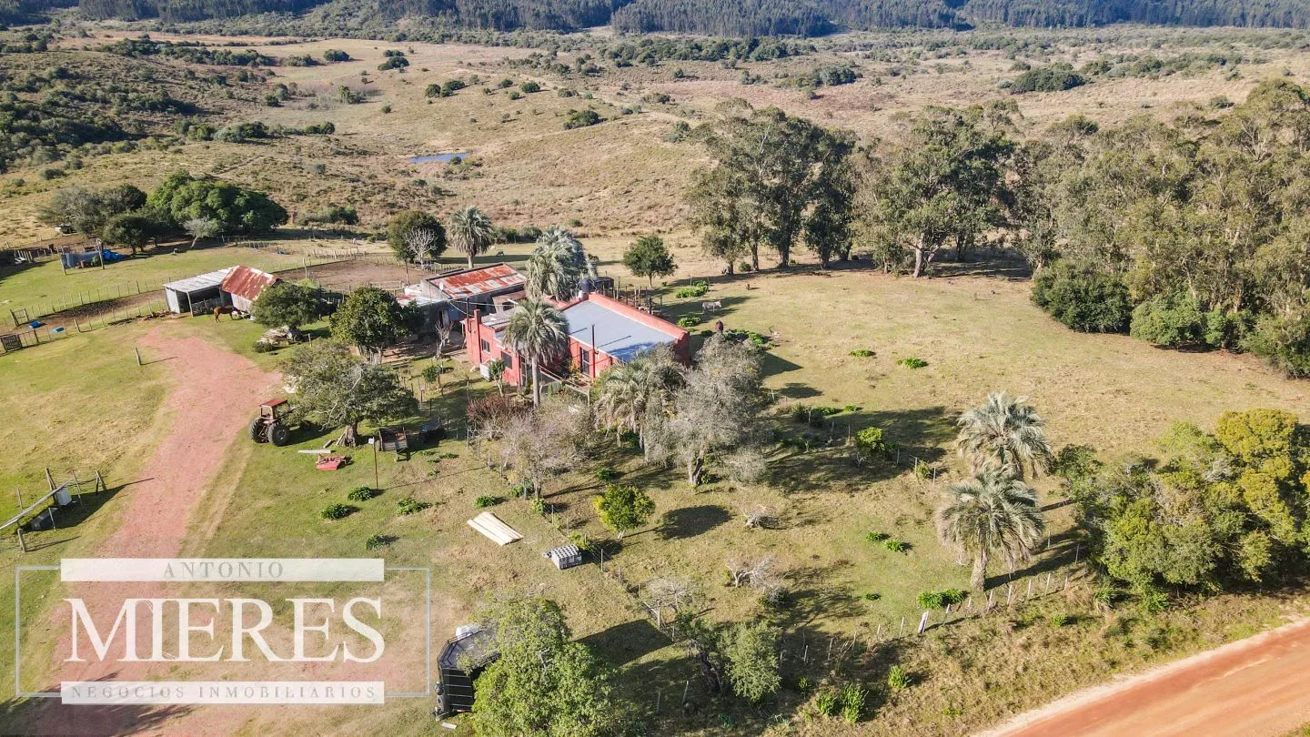 Campo de 270ha en Garzon Maldonado — foto 11
