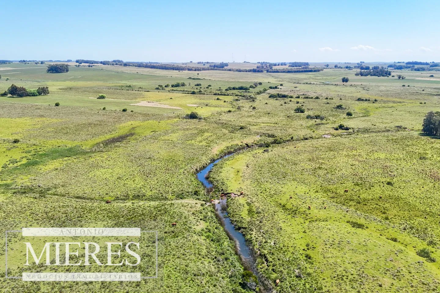 Campo en venta de 360 ha Las Garzas, Maldonado. — foto 8