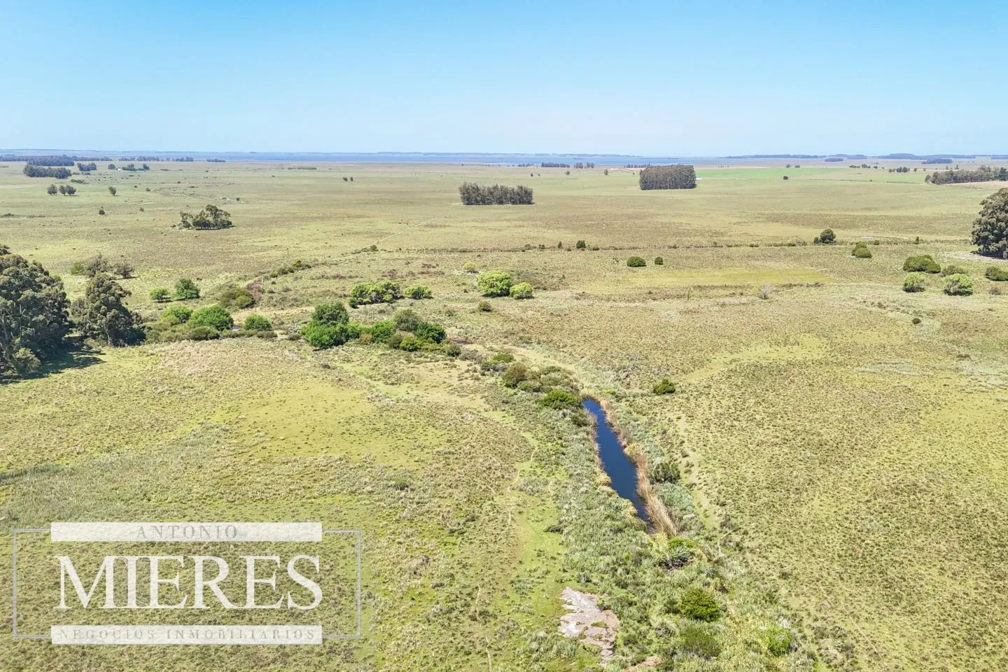 Campo en venta de 360 ha Las Garzas, Maldonado. — foto 9