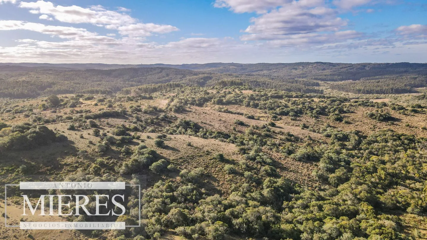 Campo de 270ha en Garzon Maldonado — foto 13