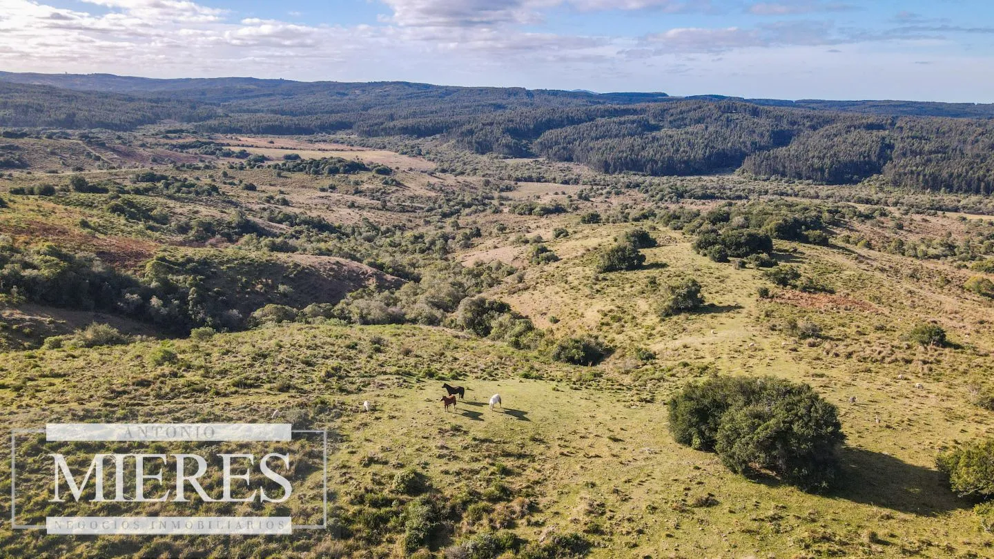 Campo de 270ha en Garzon Maldonado — foto 14