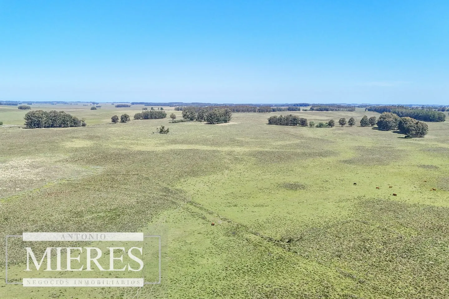 Campo en venta de 360 ha Las Garzas, Maldonado. — foto 11