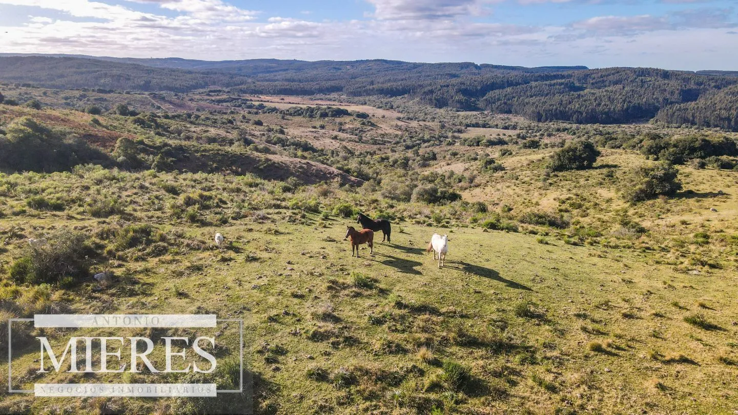Campo de 270ha en Garzon Maldonado — foto 15