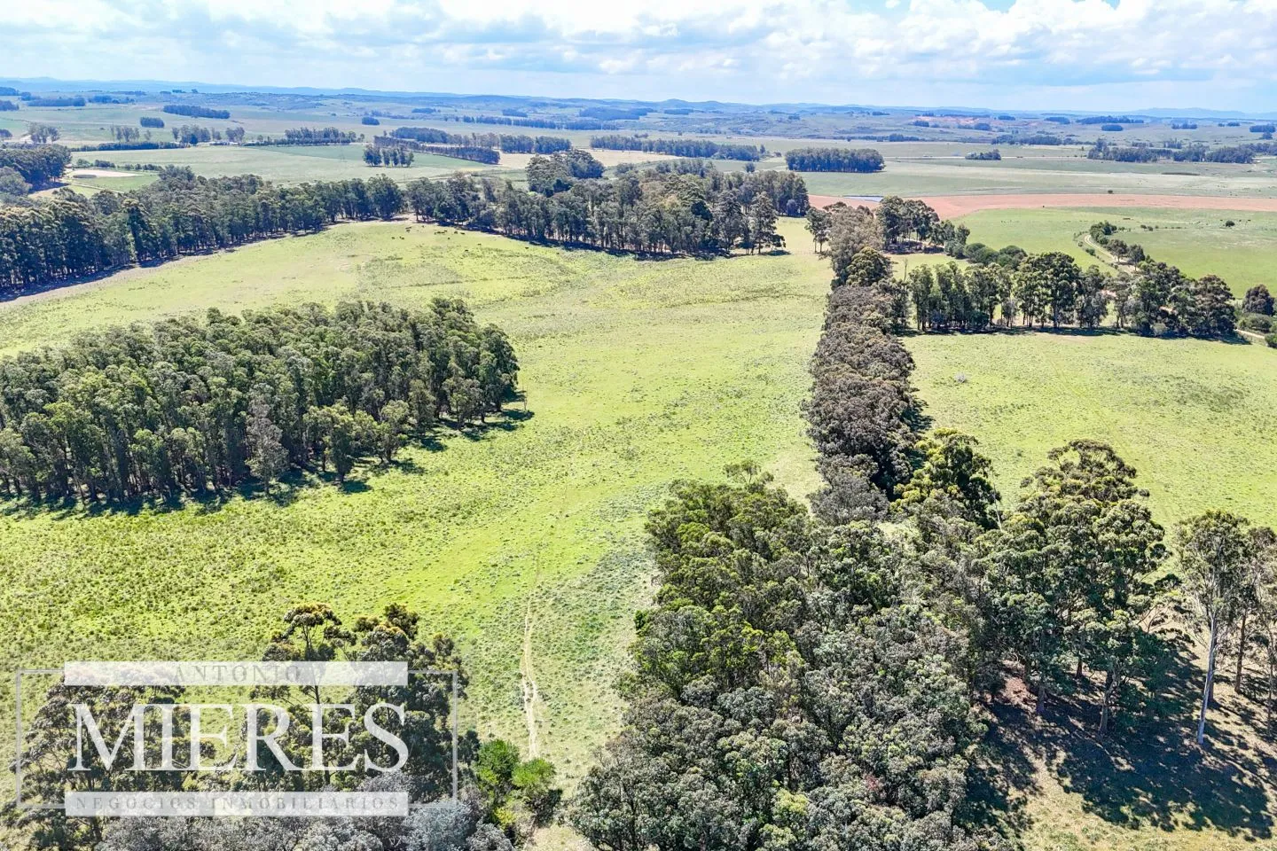 Campo en venta de 360 ha Las Garzas, Maldonado. — foto 12