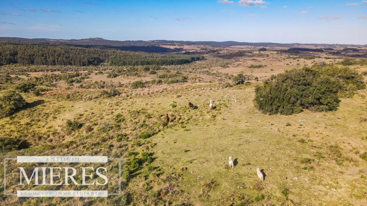Campo de 270ha en Garzon Maldonado — foto 16