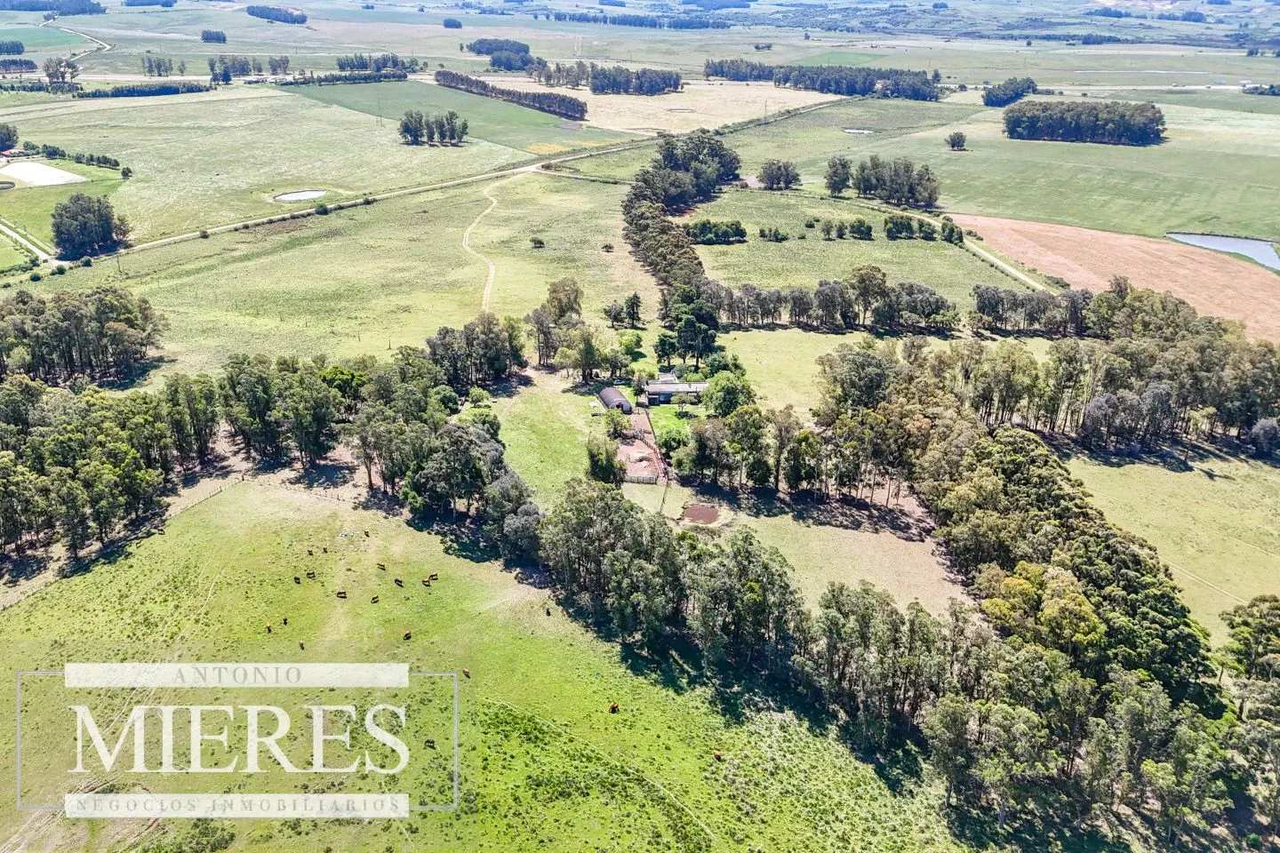 Campo en venta de 360 ha Las Garzas, Maldonado. — foto 13