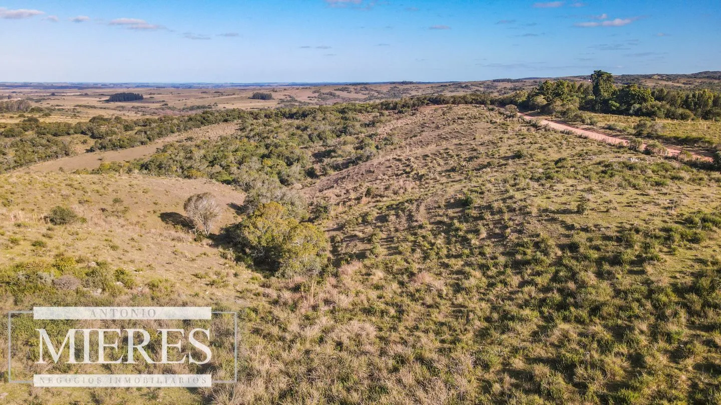 Campo de 270ha en Garzon Maldonado — foto 17