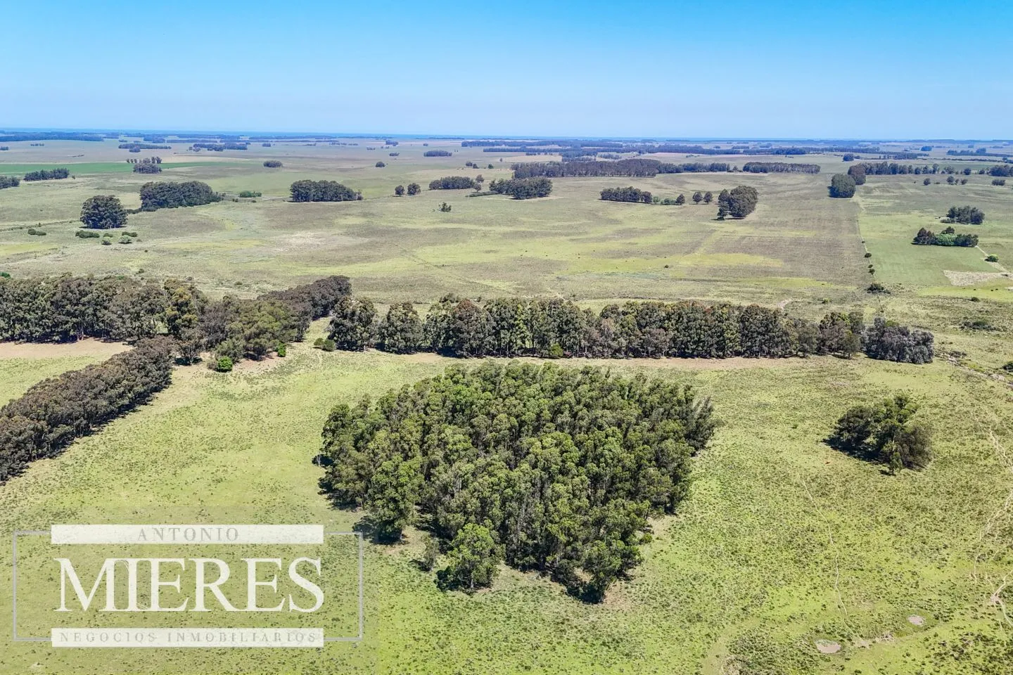 Campo en venta de 360 ha Las Garzas, Maldonado. — foto 14