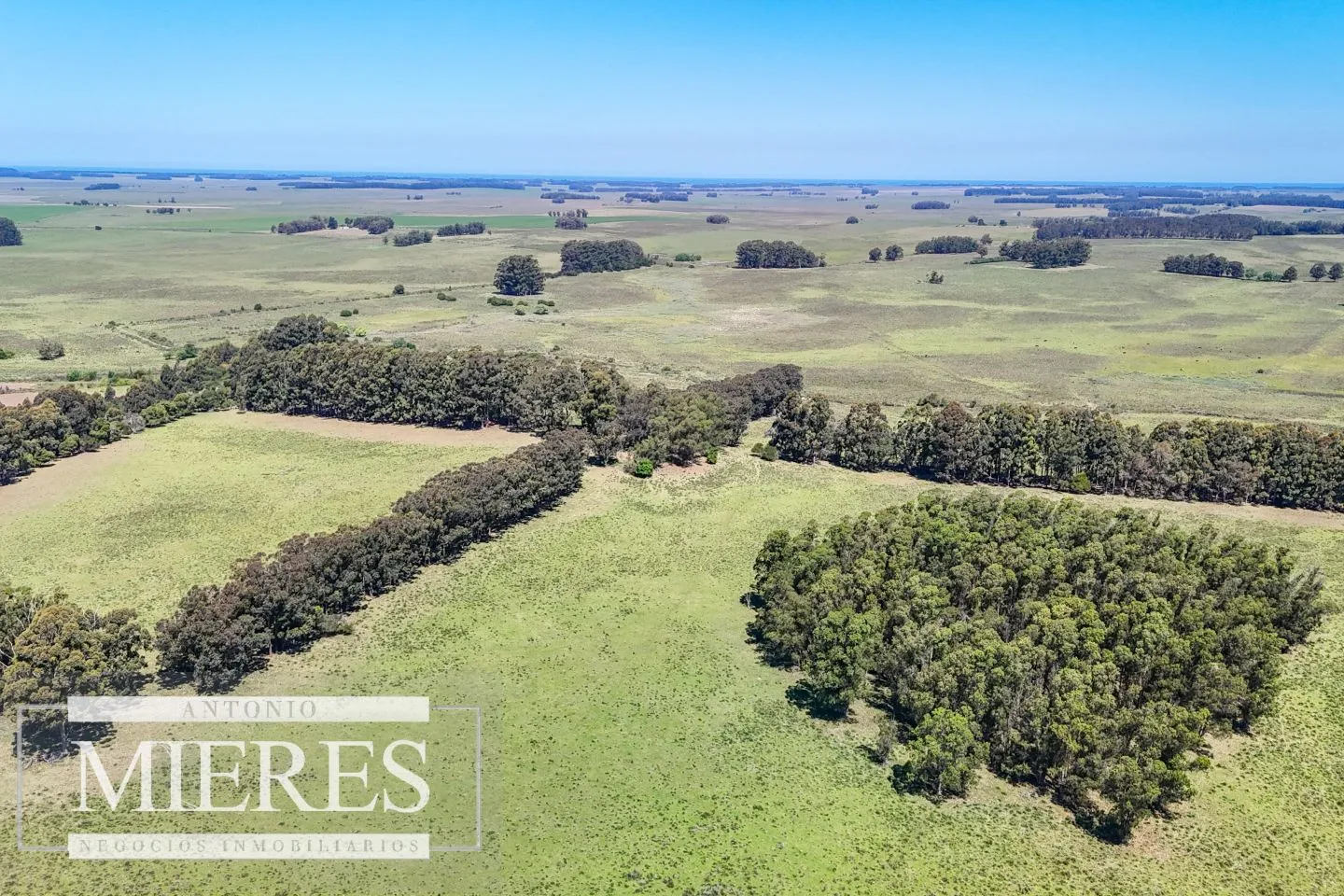 Campo en venta de 360 ha Las Garzas, Maldonado. — foto 15