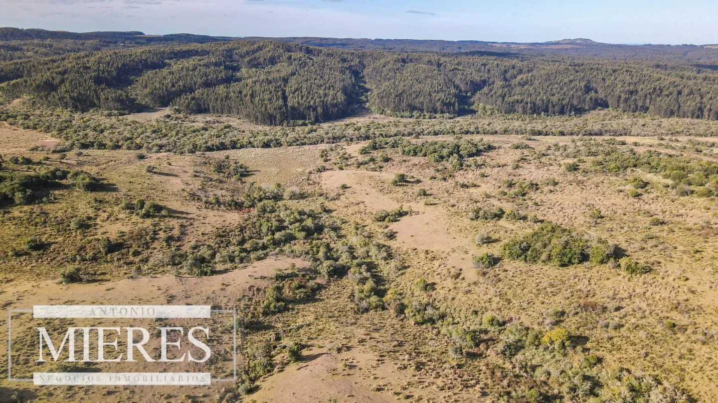 Campo de 270ha en Garzon Maldonado — foto 18