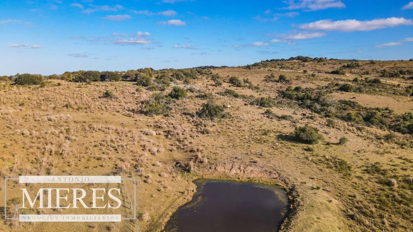 Campo de 270ha en Garzon Maldonado — foto 19