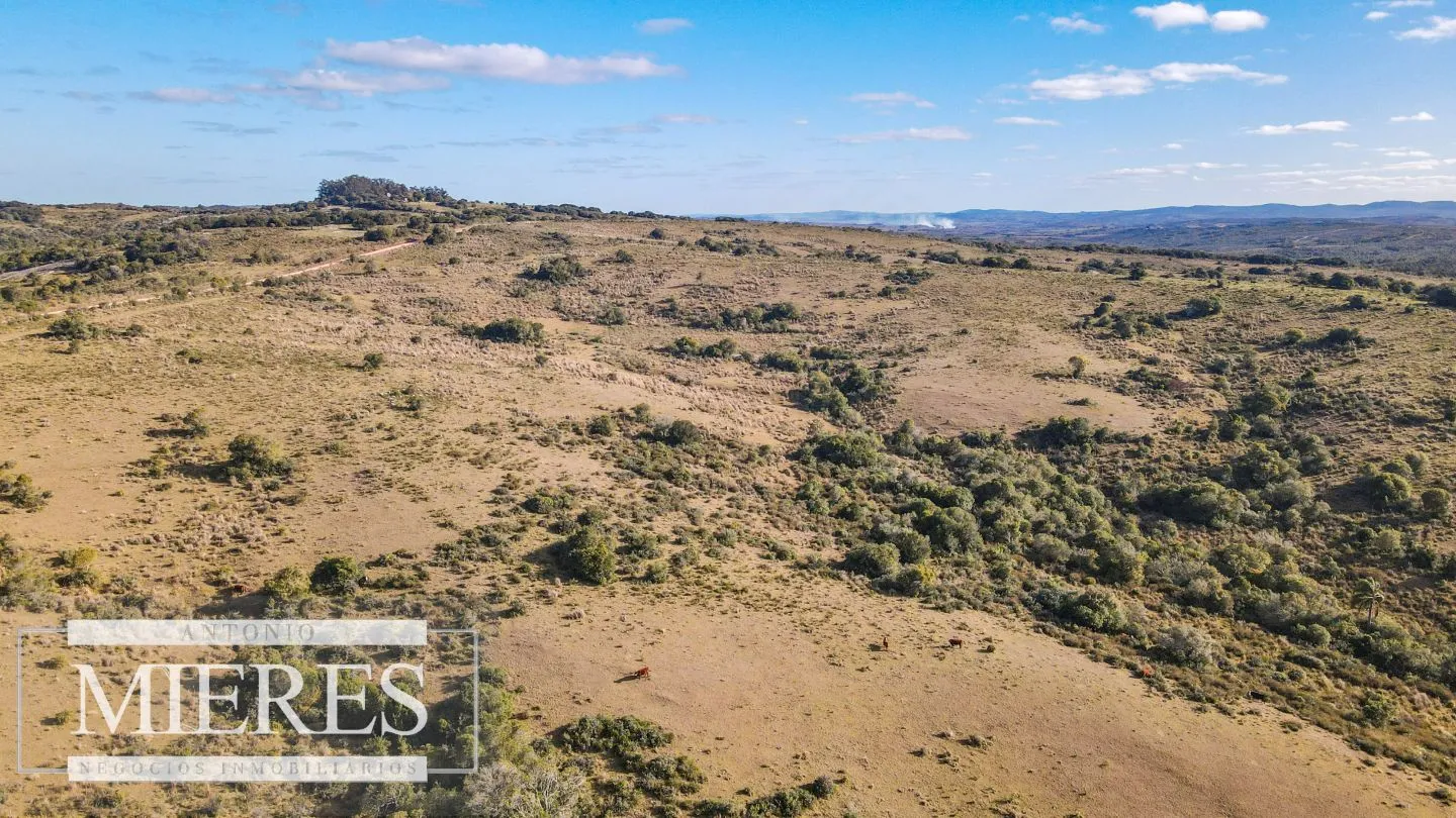 Campo de 270ha en Garzon Maldonado — foto 20