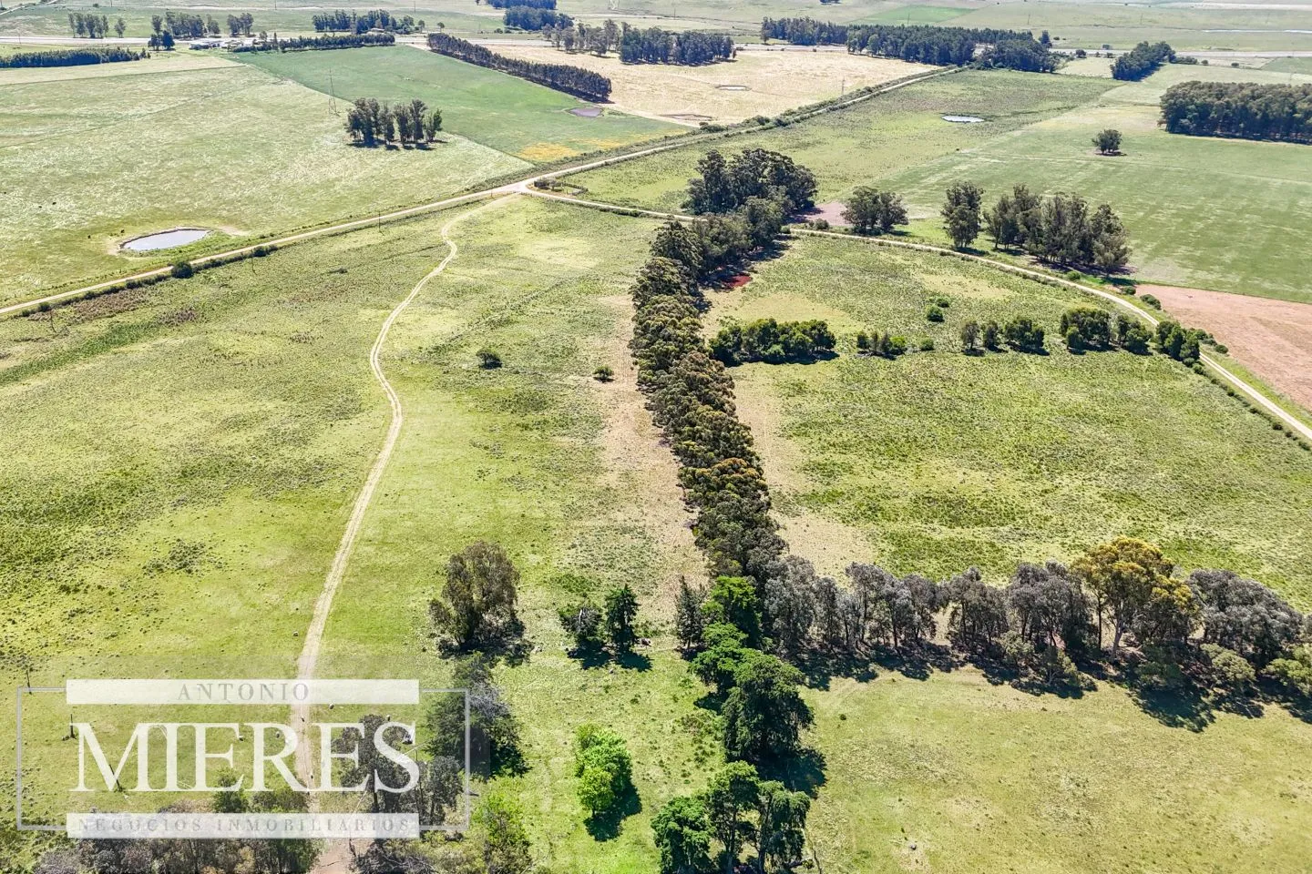 Campo en venta de 360 ha Las Garzas, Maldonado. — foto 17