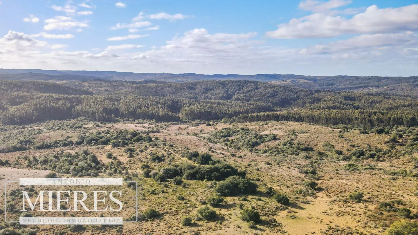 Campo de 270ha en Garzon Maldonado — foto 21