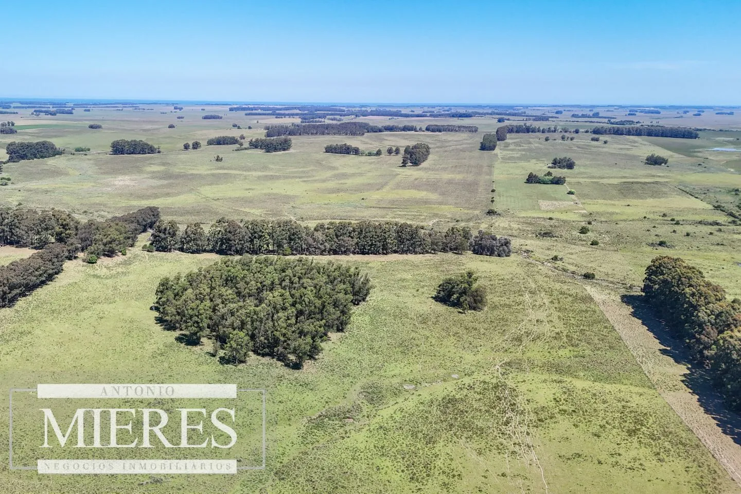 Campo en venta de 360 ha Las Garzas, Maldonado. — foto 18