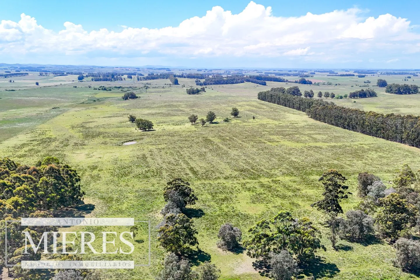 Campo en venta de 360 ha Las Garzas, Maldonado. — foto 19
