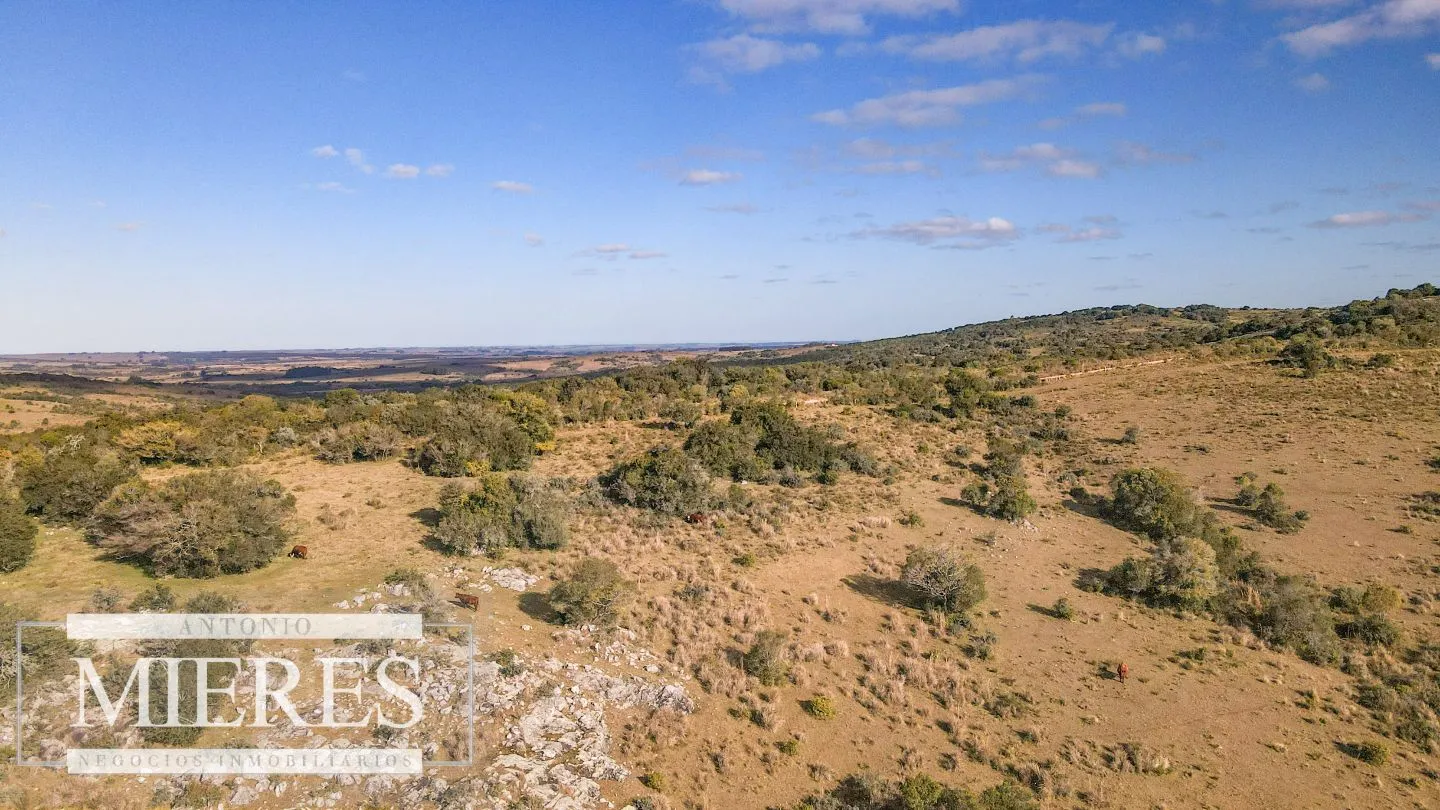 Campo de 270ha en Garzon Maldonado — foto 23