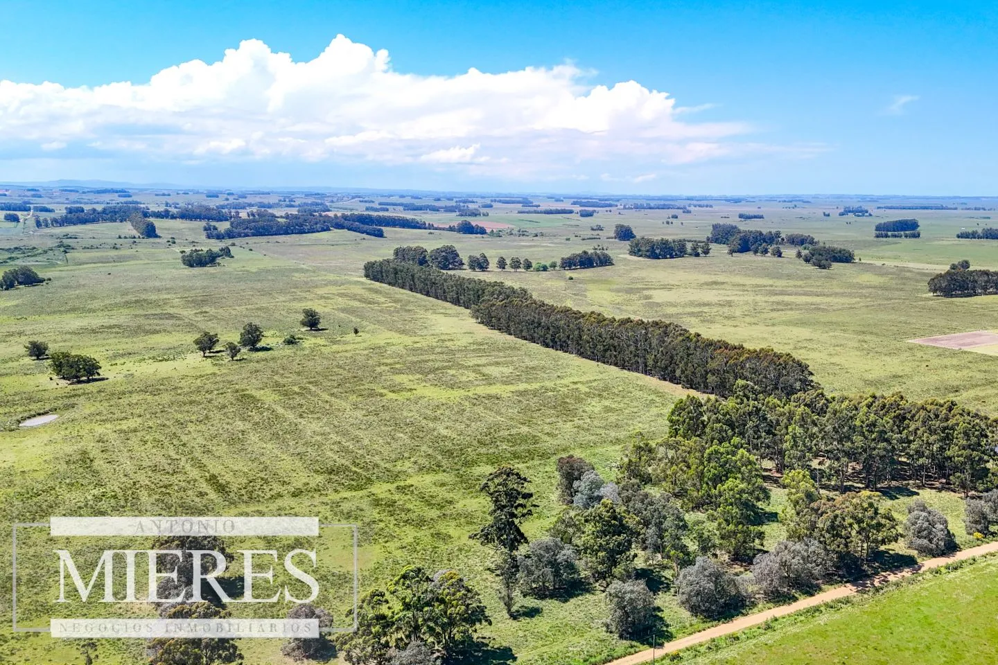 Campo en venta de 360 ha Las Garzas, Maldonado. — foto 20
