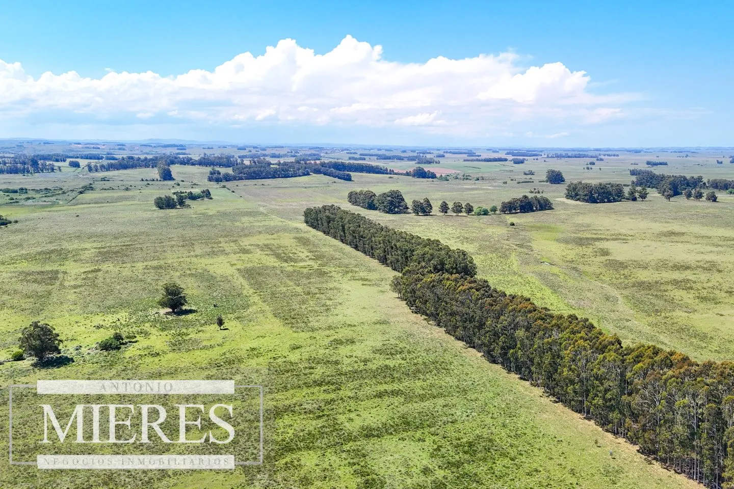 Campo en venta de 360 ha Las Garzas, Maldonado. — foto 21