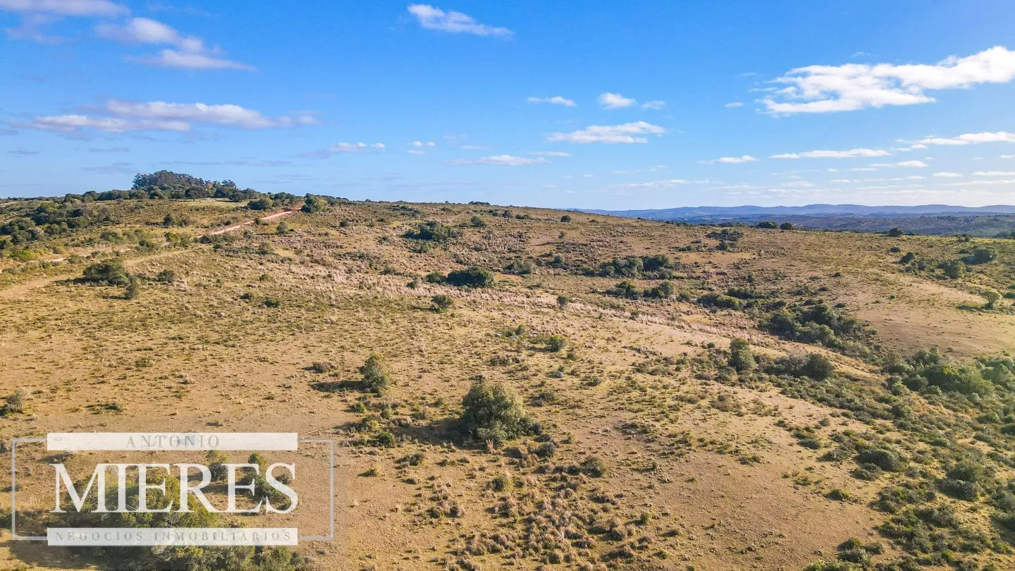 Campo de 270ha en Garzon Maldonado — foto 25