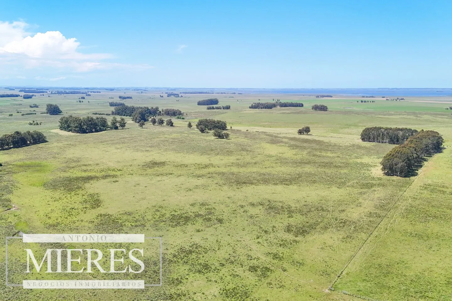 Campo en venta de 360 ha Las Garzas, Maldonado. — foto 22