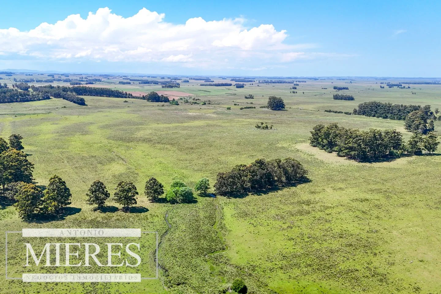 Campo en venta de 360 ha Las Garzas, Maldonado. — foto 23