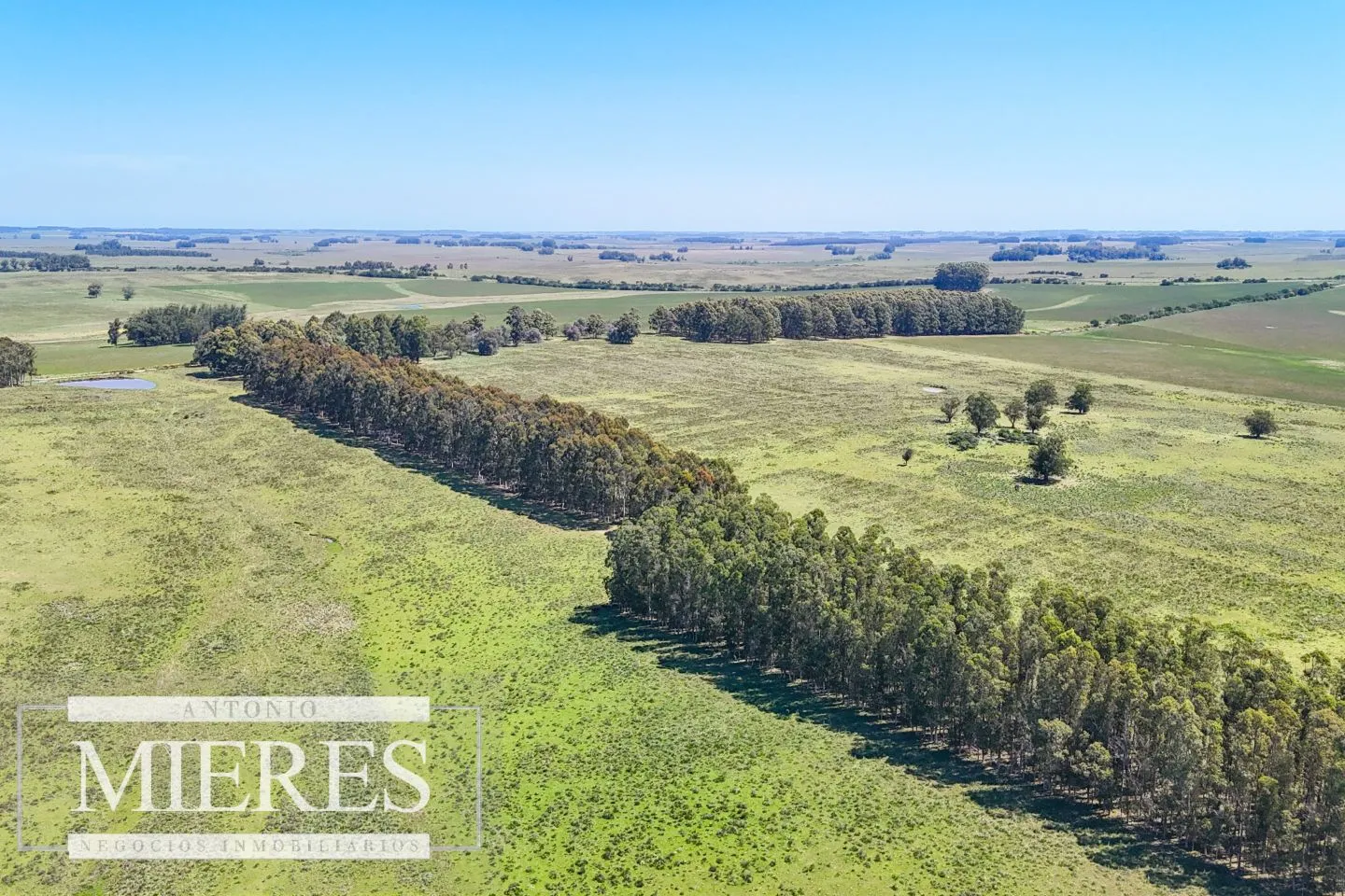 Campo en venta de 360 ha Las Garzas, Maldonado. — foto 24
