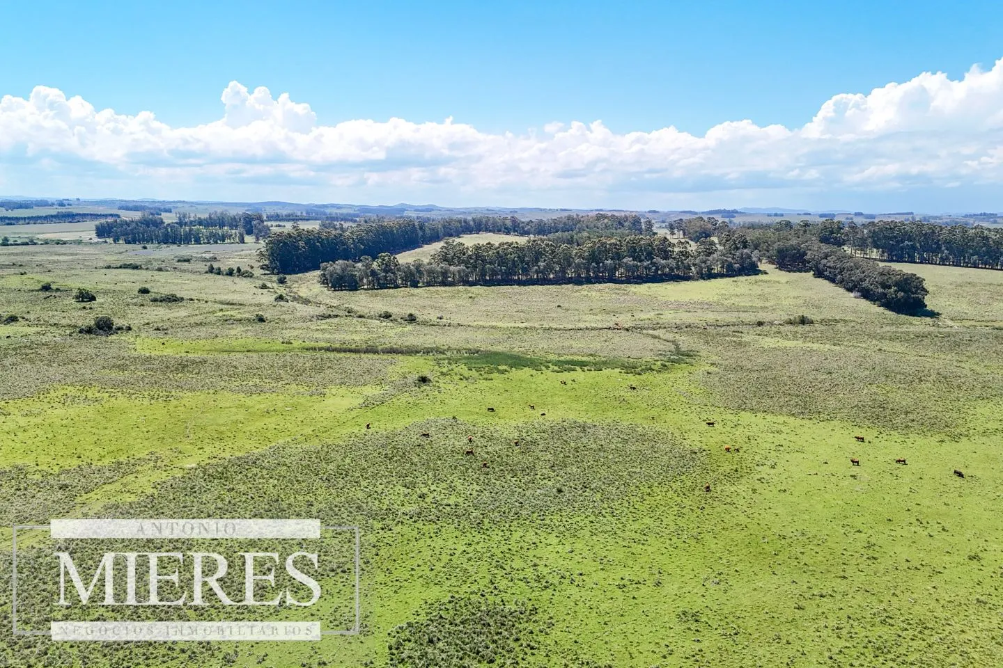 Campo en venta de 360 ha Las Garzas, Maldonado. — foto 25