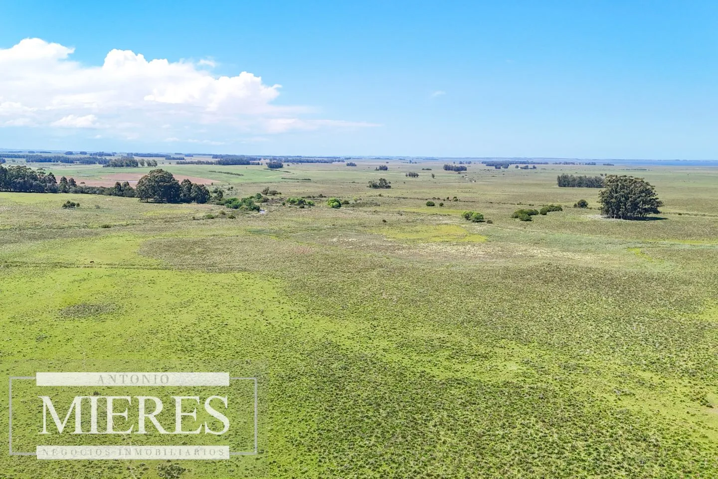 Campo en venta de 360 ha Las Garzas, Maldonado. — foto 26