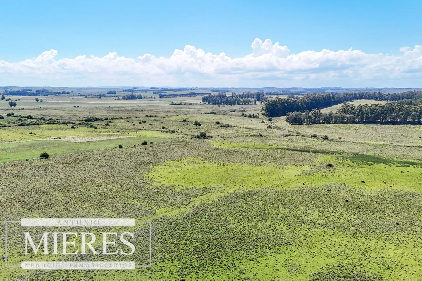 Campo en venta de 360 ha Las Garzas, Maldonado. — foto 27